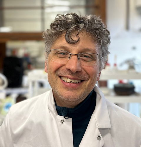 A/Prof. Stefano Dall’Acqua